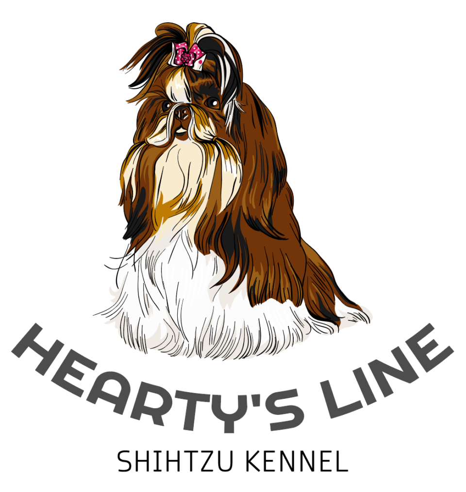 Custom illustrated logo of a long-haired Shih Tzu with a pink bow for Hearty's Line Kennel, designed by AHSANZ.