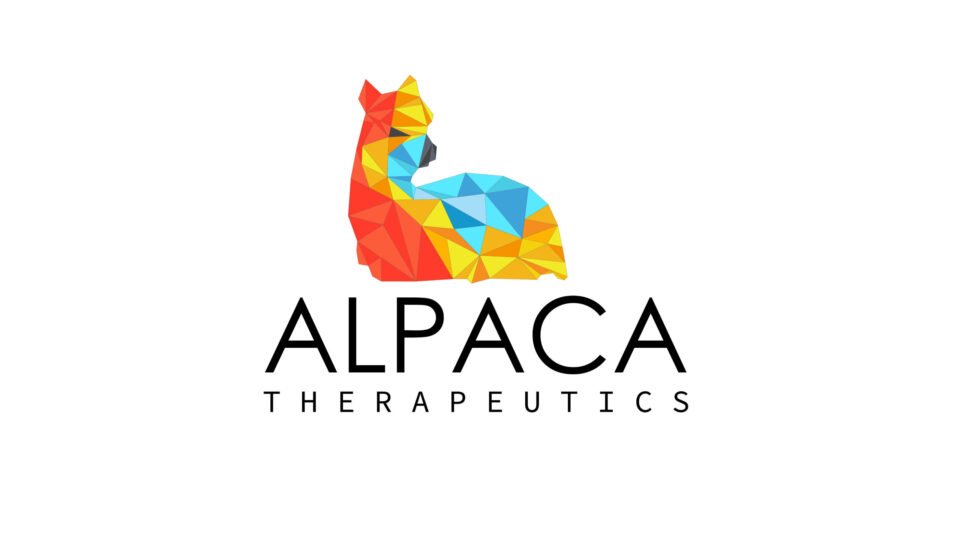 A modern, vibrant polygonal logo of an alpaca in warm and cool tones for Alpaca Therapeutics, designed by AHSANZ.